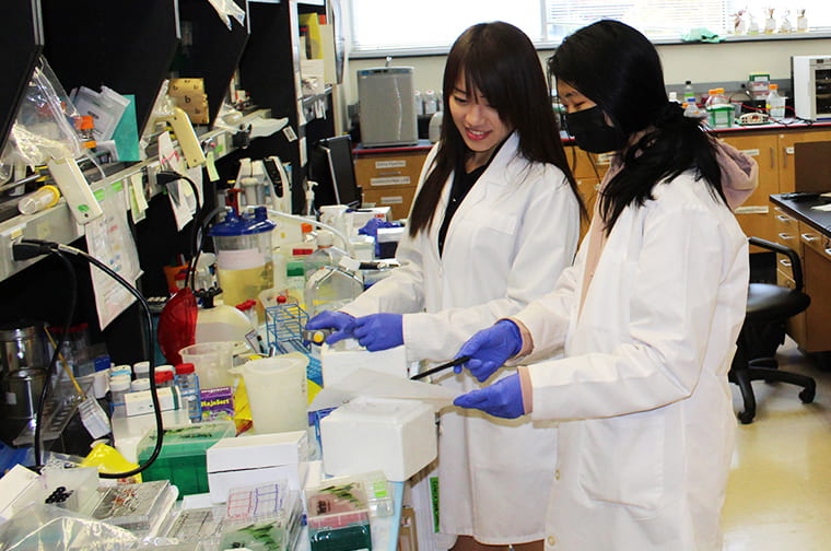 two people working in lab